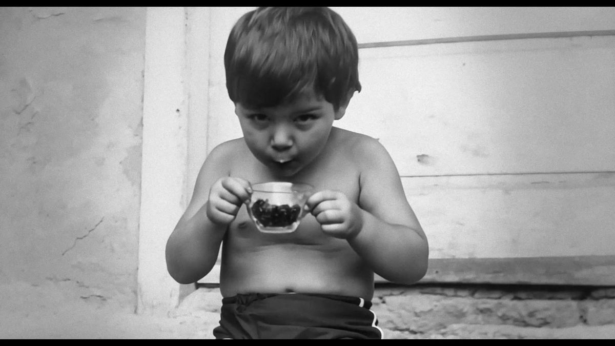 Neboj, dýchej, čaruj. Křehký snímek o křehkém muzikantovi Davidu Stypkovi čeká na diváky